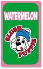 Slush Puppie Bottle Label Watermelon